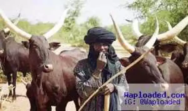 Continuous Clash: Fulani Herdsmen Agree To Leave Olomu, Delta State For Two Weeks